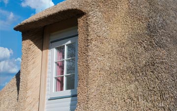 Badgall thatch roof disadvantages